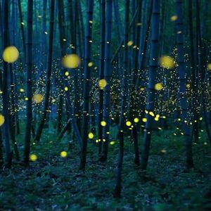 7月电子厂侧拍视频集锦
